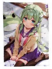 ホロライブ フワモコ FUWAMOCO タペストリー ホロライブEN Advent FUWAMOCO フワモコ B2タペストリー - メルカリ