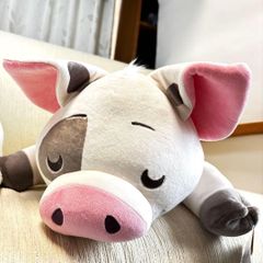 신품 모아나와 전설의 바다 [푸아] 63㎝ 다키마 쿠라 다키 봉제 인형 US 디즈니 스토어