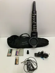 CASIO デジタルホーン DH-800 ROMパック・ソフトケース付き 動作未確認