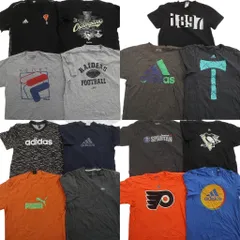 古着卸 まとめ売り スポーツブランドMIX Ｔシャツ 15枚セット ( メンズ L ) アディダス プーマ フィラ リーボック 中古 古着 NE4059