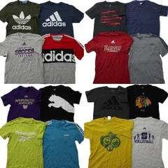 古着卸 まとめ売り スポーツブランドMIX Ｔシャツ 16枚セット ( メンズ S ) アディダス プーマ リーボック フィラ 中古 古着 NE4077