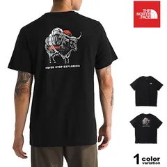 ザ ノースフェイス Tシャツ THE NORTH FACE Tシャツ 半袖 メンズ バックプリント ロゴ Evolution Vault Tri Pack Tee トップス メンズ レディース NF0A8FNA 海外モデル