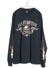 00s ハーレーダビッドソン スカル ブルーフレイム ロンT USA製 XL