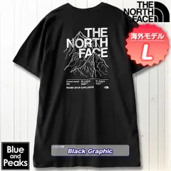 THE NORTH FACE 半袖Tシャツ Novelty Graphic Tee, カラー；BlackGraphic, サイズ；L