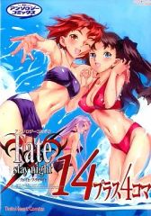 [중고] 기타 만화 Fate/stay night(14)