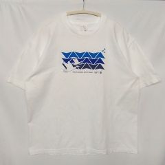 90s 00s XLARGE 初期 usa製 Tシャツ スケート fuct - メルカリ