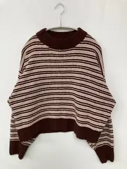 earth music&ecology アースミュージックアンドエコロジー ニット/セーター F ブラウン ボーダー柄 ショート丈 長袖 クルーネック(丸首)