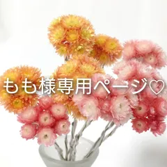 もも様ご確認用ページ