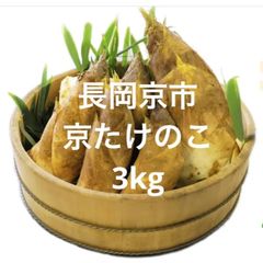 京たけのこ 長岡京朝掘り3kg 伝統野菜 - メルカリ