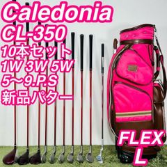 ゼクシオ 10代目 MP1000 フルセット キャディバック付き 12本セット