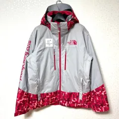 L 100 ザノースフェイス 平昌オリンピック ウィンドブレーカー ダウン ジャケット