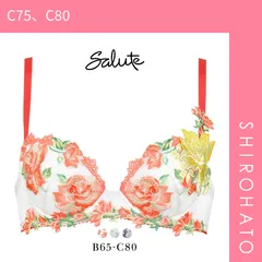 【SHIROHATO公式】【正規品・新品】ワコール Wacoal サルート Salute 11G BTJ411 P-UP ブラジャー BC プッシュアップ 谷間 単品 24AW先行 コア(C75、C80)