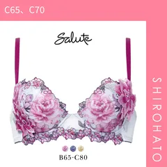 【SHIROHATO公式】【正規品・新品】ワコール サルート 21グループ 21G P-UP ブラジャー プッシュアップ BC 谷間 Wacoal Salute BTJ421 25AW先行コア(C65、C70)