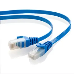 新品 サンワサプライ LANケーブル CAT6 フラット (0.5m) ツメが折れないW構造 ブルー LA-FL6TS-005BL