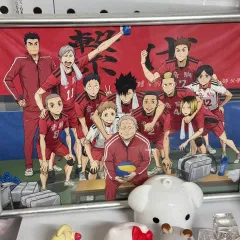 ハイキュー!! 劇場版 ゴミ捨て場の決戦 特典 音駒高校 団体 集合 写真 イラスト 額縁