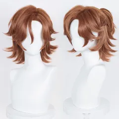 猫の城 三毛縞斑 みけじままだら コスプレウィッグ あんさんぶるスターズ! 耐熱 かつら アニメ 仮装 コスチューム小物 パーティー イベント 仮装 コスチュム ウィッグネット付き