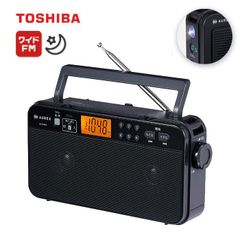 ⭐️【送料込】⭐️TOSHIBA 東芝 ポータブルサウンドシステム TY-ASC60