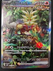 ウガツホムラ sar タケルライコsar ウネルミナモ sar 3種 - メルカリ