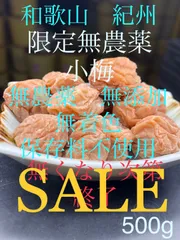 和歌山紀州　無農薬小梅　無添加無着色　今月号のクロワッサンに掲載中　SALEのサムネイル