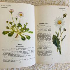 ビンテージ植物画集3冊セット ビンテージ植物画集3冊セット - メルカリ