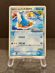 ポケパークのミズゴロウ ポケパーク ミズゴロウのスプラッシュアドベンチャー 048/PCG-P ポケモンカード【送料無料】