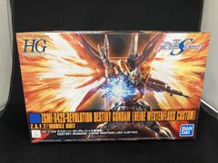HGハイネデスティニー組み立て済み おまけRG用光の翼 - メルカリ
