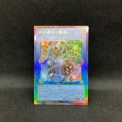 遊戯王 黒魔導のカーテン オーバーフレームウルトラレア - メルカリ