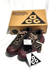 NIKE ACG マウンテンフライ2 LOW GTX HF6245-200 27.5cm 新品 ゴアテックスのサムネイル
