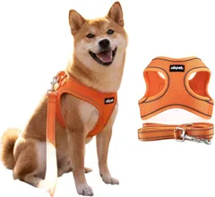 犬用ハーネス＆リードセット 超小型犬から全犬種対応 猫用ハーネス リード引っ張り防止設計 調節可能サイズ夜間反射機能 着脱簡単耐久性・通気性・柔らかメッシュ素材採用 (orange, M)