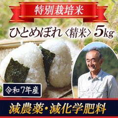 令和7年産 希少米 緑肥＆有機肥料 特別栽培米【朝日】5キロ - メルカリ