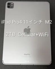 【美品】iPad Pro 11インチ 第4世代 Wi-Fi ＋ Cellular 2TB 2022年モデル M2/16GB