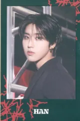 StrayKids セット販売 HAN 2024 dominATE JAPAN 枠付