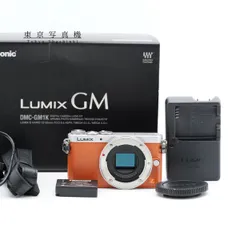 Panasonic LUMIX DMC-GM1 ミラーレス一眼 パナソニック マイクロフォーサーズマウントのサムネイル