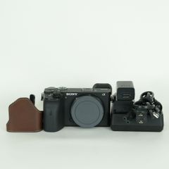 新品級 保証有 SONY ILCE-6600M ズームレンズキット ミラーレス - メルカリ