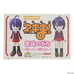 天野美紗緒 「魔法少女プリティサミー」 デフォルメ天地ファミリー