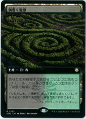 MTG/日本語版/古えの墳墓/Ancient Tomb/テンペスト/Tempest/TMP - メルカリ