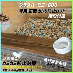 ハムスター グラスハーモニー600 正面 カジカジ カミカミ防止ロフト 階段付属