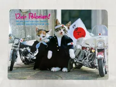 2026年最新】下敷き なめ猫の人気アイテム - メルカリ