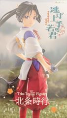 Flue Trio-Try-iT Figure 도망친 젊음군 호조 시행