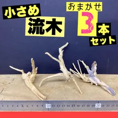 2026年最新】ブランチウッドの人気アイテム - メルカリ