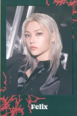 StrayKids セット販売 FELIX 2024 dominATE JAPAN 枠付