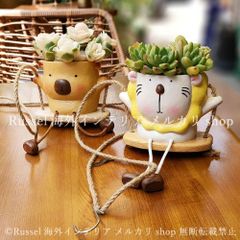 たにくまさん プランター 多肉寄せ植え付き - メルカリ