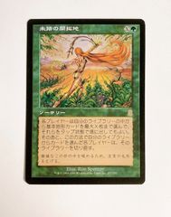 Foil】《シルバーグレイド峡谷の開拓者》[MMQ] 緑U 日 - メルカリ