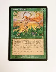 2026年最新】知られざる楽園 mtgの人気アイテム - メルカリ