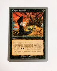 26228 MTG マジック:ザ・ギャザリングHarmony of Nature - メルカリ