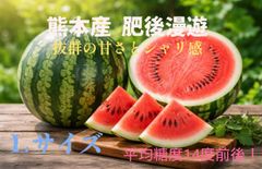 千葉県産 すいか 八街西瓜 3Lサイズ 2玉セットです。 - メルカリ