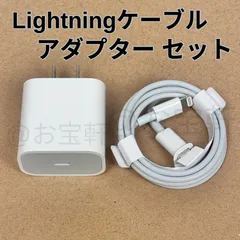 専用　タイプCアダプター　2個　Lightningケーブル　2個