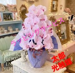 現品 シンピジュウム エンジェルフェザー 花4本立 アーチ仕立て 陶器鉢 