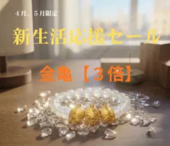 【4・5月限定/新生活】ムーンストーンブレスレット 究極お守り空間セット（金亀3体付き）
