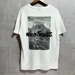 Wild Things ワイルドシングス Tシャツ 半袖 ショートスリーブ カットソー トップス ロゴ 刺繍 ワンポイント ホワイト 白 メンズ SU-8-1のサムネイル